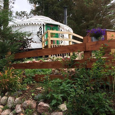 The Tall Pines Yurt Helmsdale Dış mekan fotoğraf