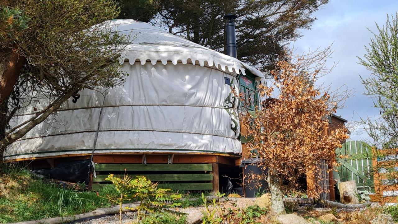 The Tall Pines Yurt Helmsdale Dış mekan fotoğraf