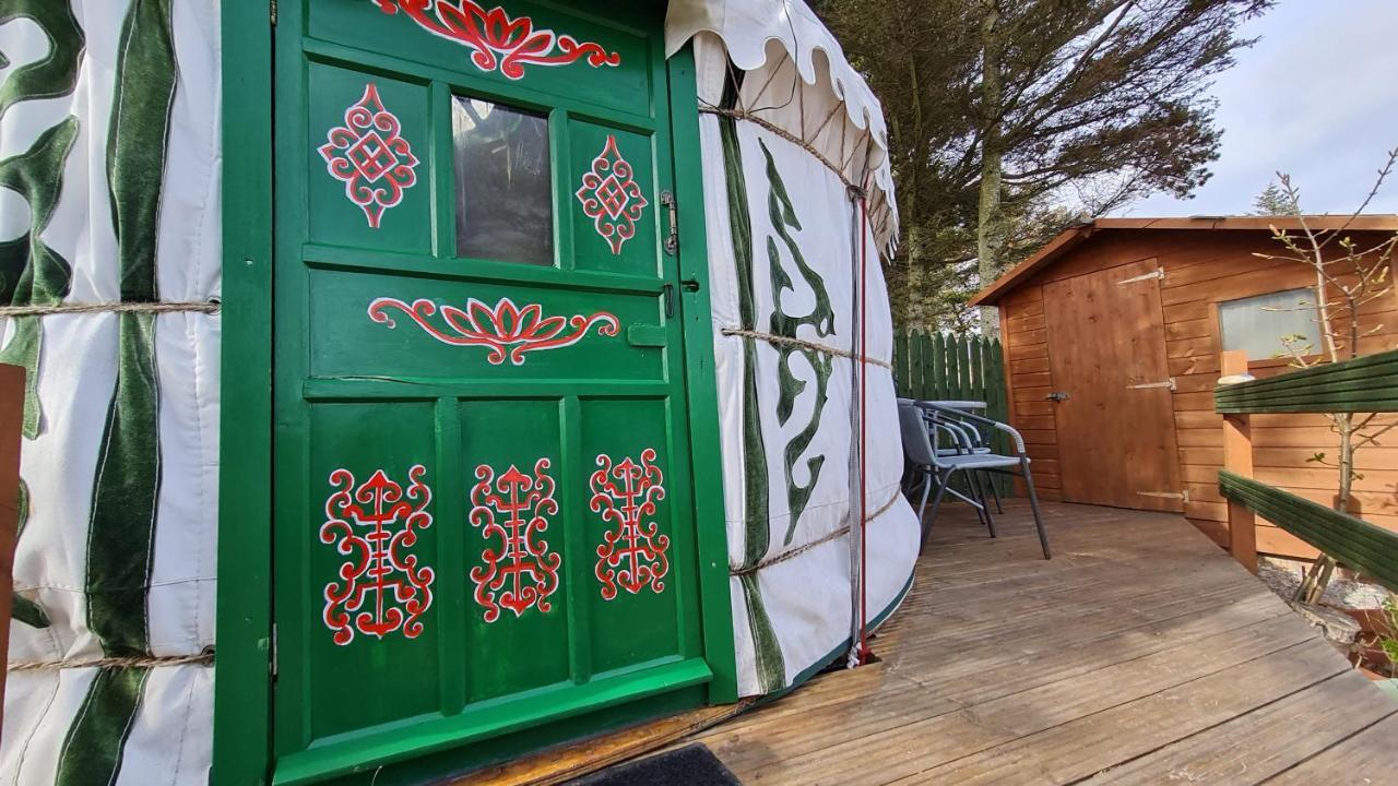 The Tall Pines Yurt Helmsdale Dış mekan fotoğraf