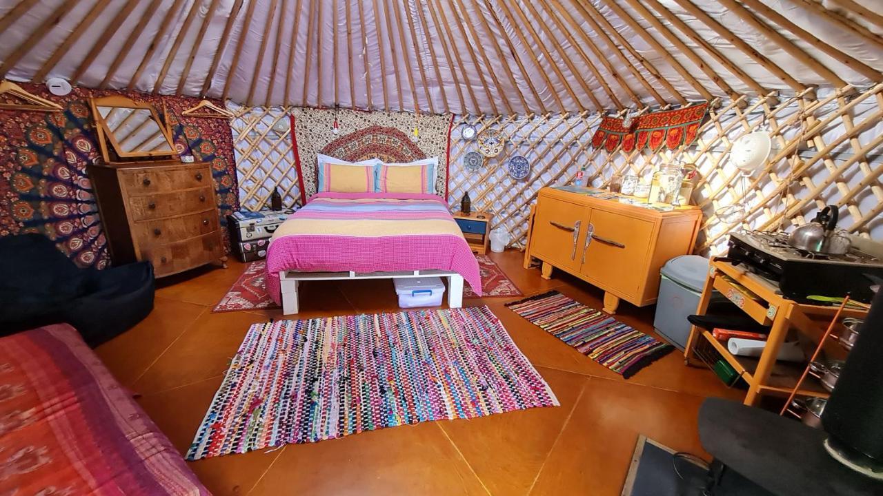 The Tall Pines Yurt Helmsdale Dış mekan fotoğraf