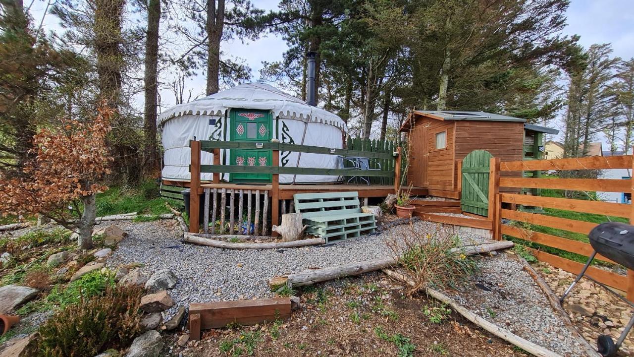 The Tall Pines Yurt Helmsdale Dış mekan fotoğraf