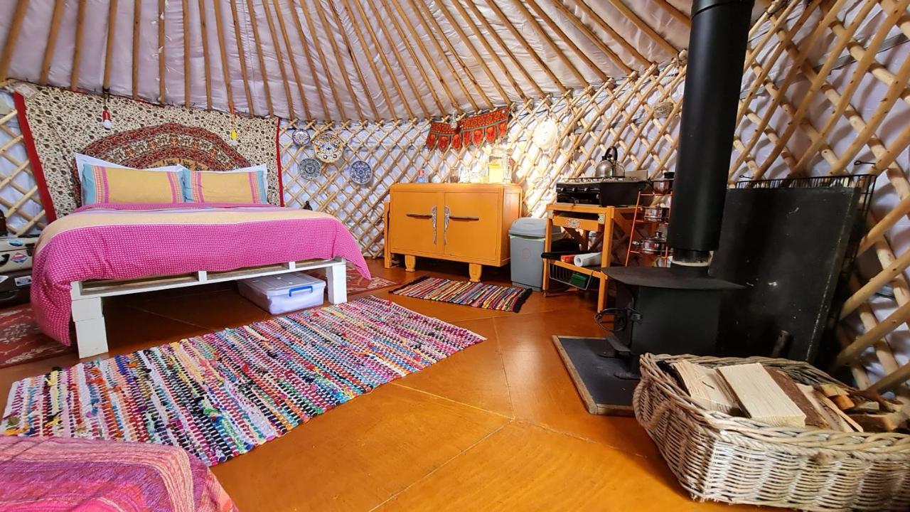 The Tall Pines Yurt Helmsdale Dış mekan fotoğraf