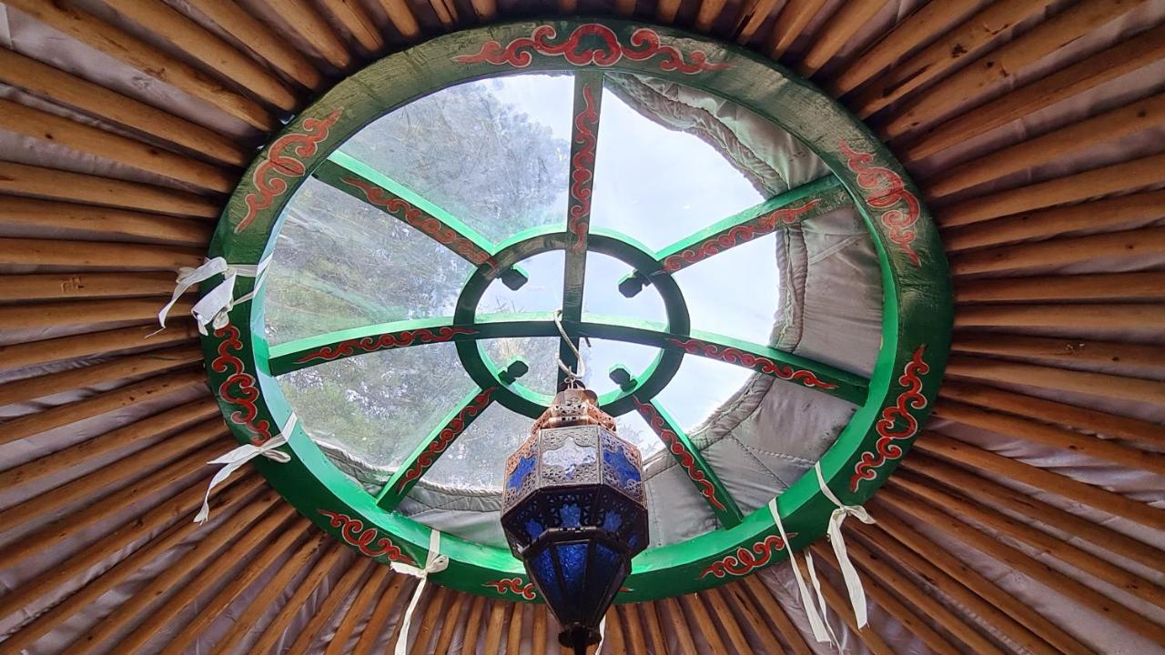 The Tall Pines Yurt Helmsdale Dış mekan fotoğraf