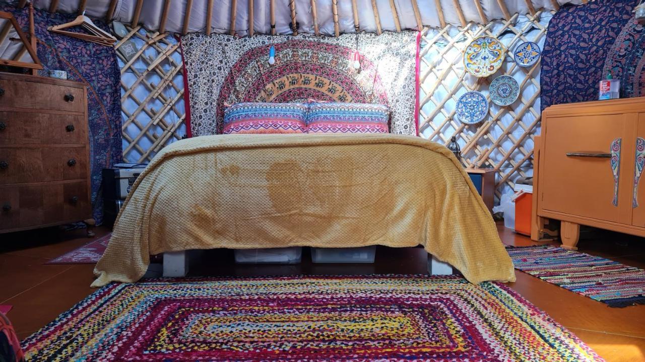 The Tall Pines Yurt Helmsdale Dış mekan fotoğraf