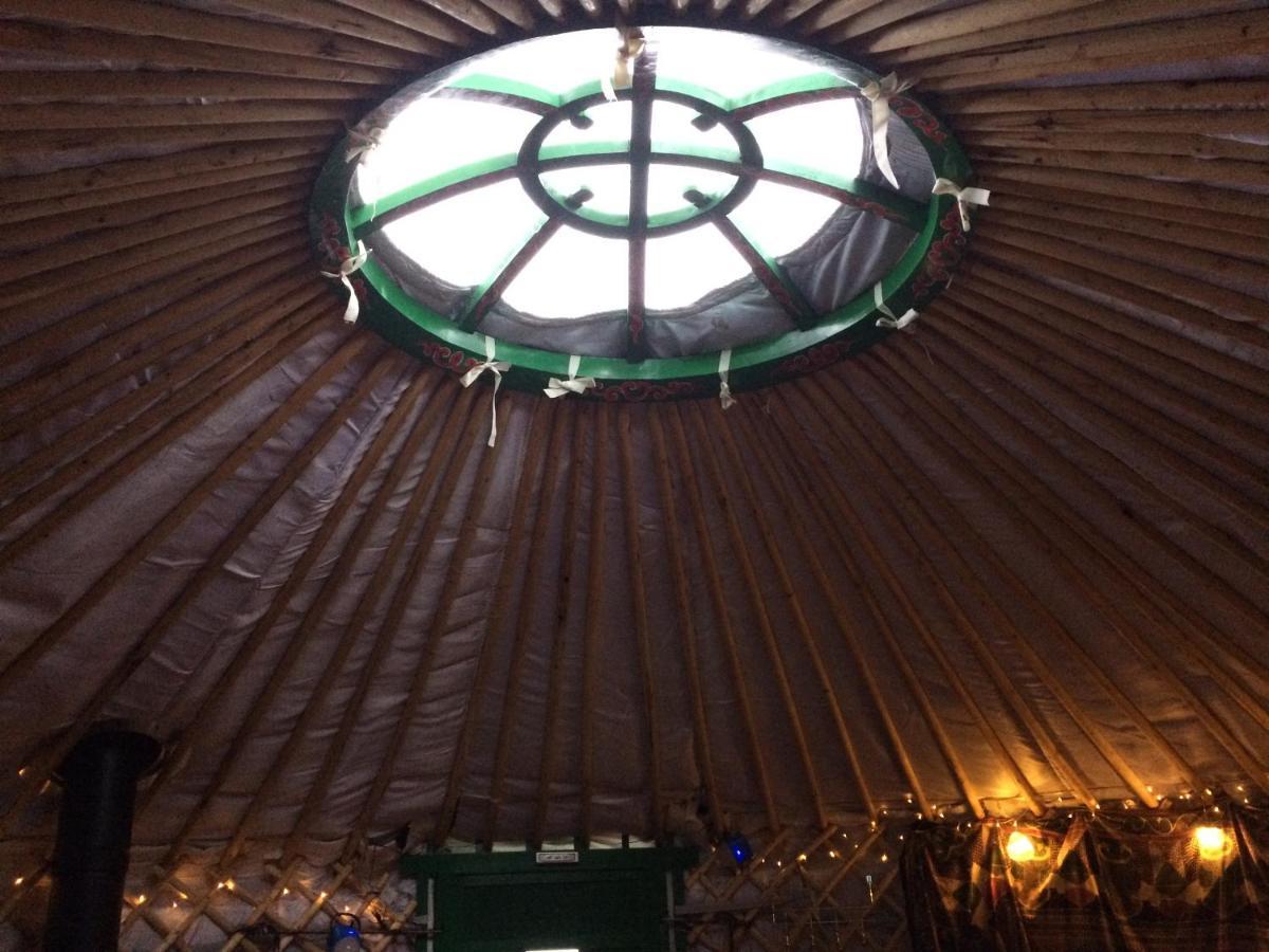 The Tall Pines Yurt Helmsdale Dış mekan fotoğraf