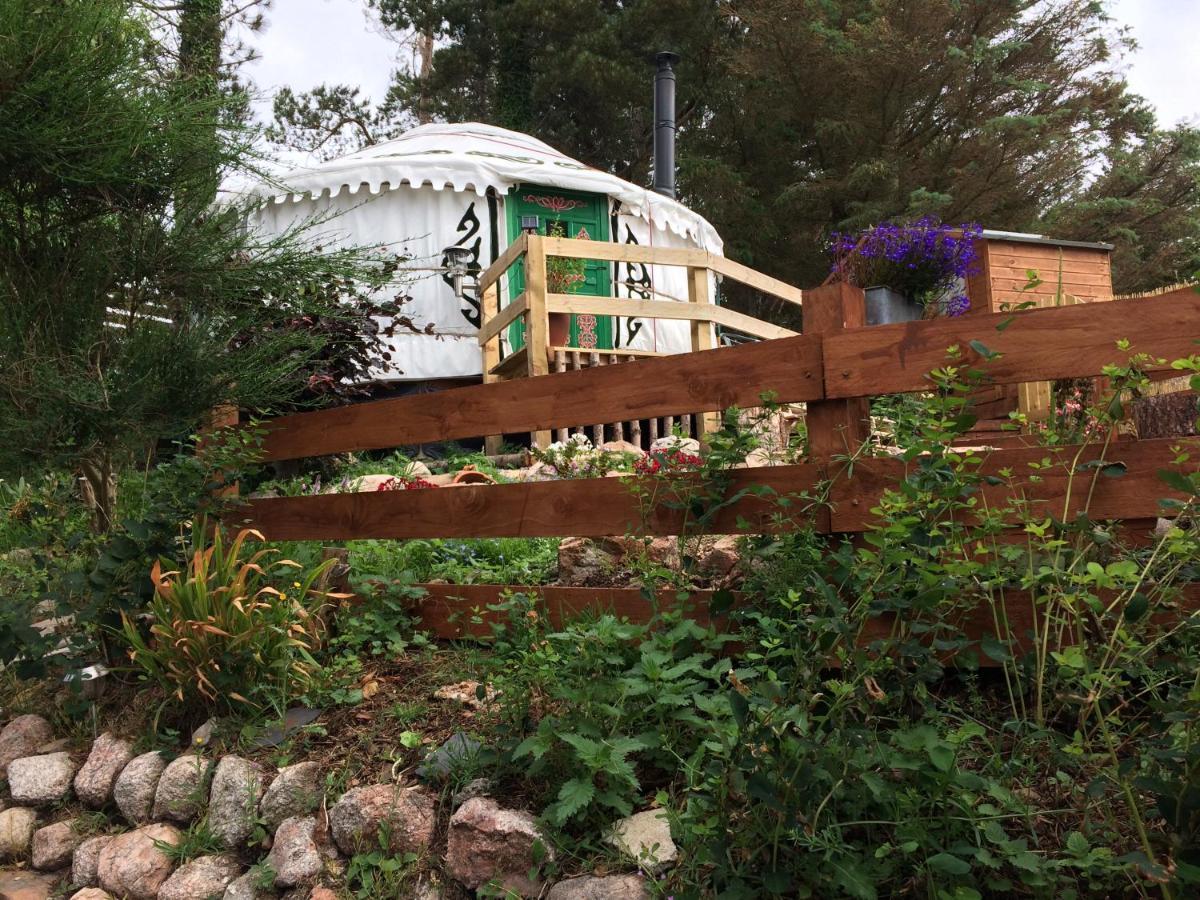 The Tall Pines Yurt Helmsdale Dış mekan fotoğraf